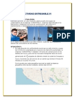 Actividad Entregable 1 de Fisica y Quimica