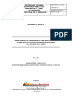 DOCUMENTO TECNICO-Fortalecimiento de La Produccion de Chontaduro