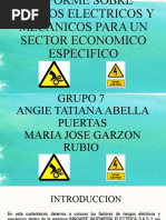 Sustentacion de Informe Sobre Riesgos Electricos y Mecanico para Un Sector Economico Especifico