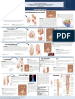 Infografia Deelizabeth Nervios Craneales