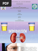 CanoA - Consulta1 - Seguridad y Evaluaciòn de Calidad en Uroanàlisis