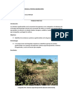 Trabajo Práctico-Sistemas Agroforestales