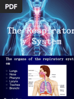 The Respiratory