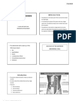Anatomy of Abdomen