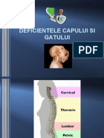 Curs 2 - Deficientele Capului Si Gatului