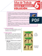 La Evolución para Sexto Grado de Primaria