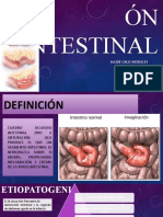 Invaginación Intestinal, Hernia Inguinal, Apendicitis