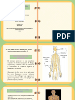 Cartilla Digital de Greisy