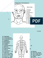 Cuadratura Topografica1