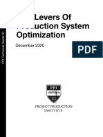 PPI Technical Guide 01 Five Levers