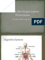 Struktur Dan Fungsi System Pencernaan