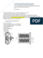 L1 L7 Desene Obligatorii