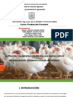 Nutricion y Alimentacion Pollos Parrilleros