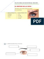 Actividad Del Sentido de La Vista. 4 To A