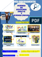 Normas de Auditoria (Mac14) y Normas (Nagas)