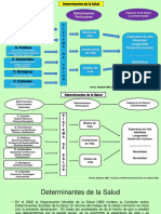 Determinantes de La Salud Cuadro - Esquema 1-Verspaenv