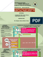 Diapositivas para Proyecto