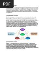 Ciclo Biogeoquímico