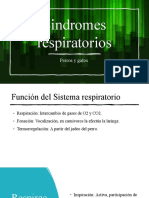 Sindromes Respiratorios en El Perro y El Gato