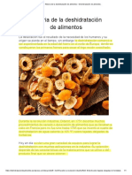 Historia de La Deshidratación de Alimentos - Deshidratación de Alimentos