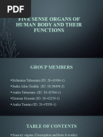 Five Sense Organs of Human Body and Their Functions