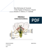 Angiosperma Practica 3