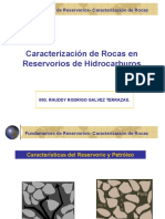 Propiedades Del Sistema Roca Fluido de Reservorio