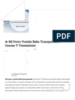 Mi Perro Vomita Baba Transparente. 5 Causas Y Su Tratamiento