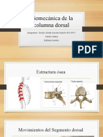 Biomecánica de La Columna Dorsal