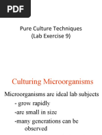 Pure Culture Techniques (Lab Exercise 9)