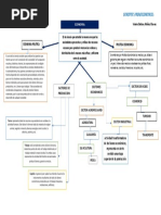 Mapa Conceptual