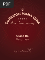 Conexión Mama Luna - Clase 03