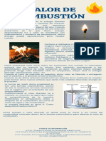 Infografia Calor de Combustión