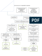 Pathophysiology of Meniere Final