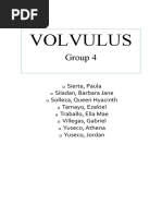 Volvulus GROUP 4