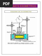 T4 03 Edometro