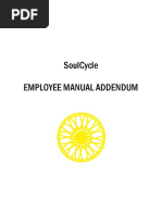 Employee Manual Addendum July 2017