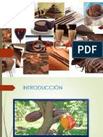 Cacao