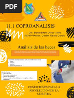 11.1 Coproanalisis