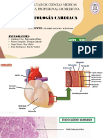 Primera Expo Semana 6 Histología Cardíaca