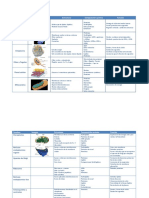 Cuadro Comparativo de Organelos