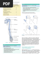 ISPO Classification System For Congenital Upper Limb Reductions