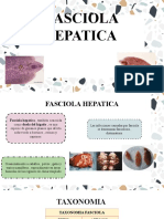 Exposicion Fasciola