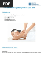 Tecnica Del Masaje Terapeutico Gua Sha