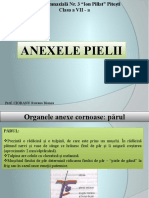 Anexele Pielii