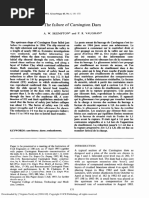 The Failure of Carsington Dam: G&technique 43, No. 1, 151-173