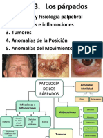 Medicina 3 Parpados 2019