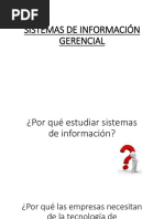 Sistemas de Informacion Gerenciales