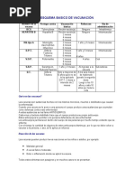 Esquema Basico de Vacunación