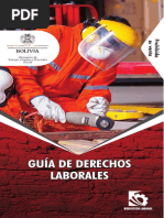 Libro Bib Lab Guia Derechos Laborales 2020